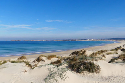 Surf School in Peniche